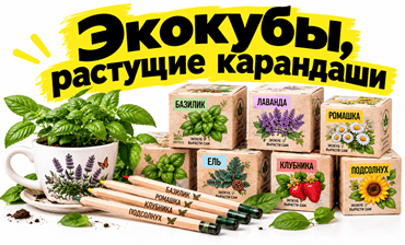 ekokuby-rastushchiye-karandashi-minsk-minsk-min.png