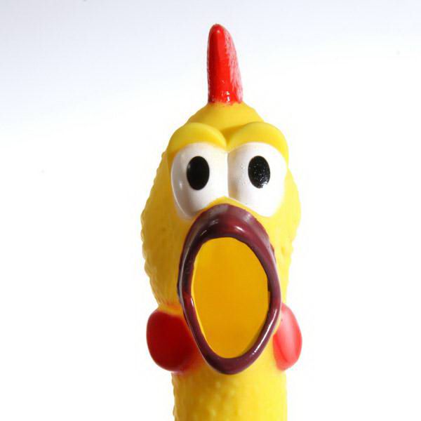 Кричащая сумасшедшая курица купить Минск +375447651009