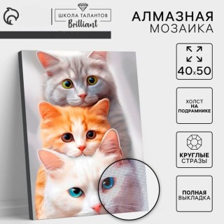 Алмазная вышивка «Три кота» на раме 40 х 50 см купить