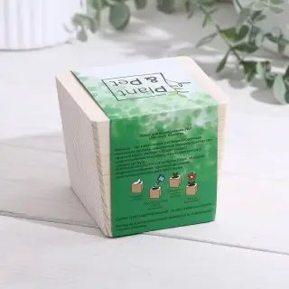 ЭкоКуб «Мелисса мохито» фото