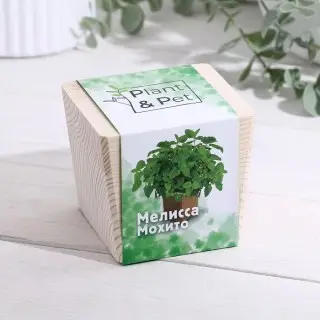 ЭкоКуб «Мелисса мохито» купить