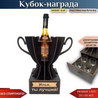 Именной кубок «Илья, Ты лучший!» мини-бар Минск +375447651009