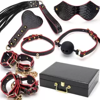 Набор BDSM «Black Passion» 7 предметов  в подарочном кейсе 18+ купить в Минске +37544765009