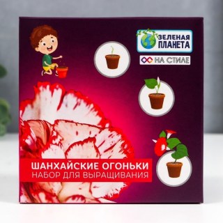 Набор для выращивания «Китайская гвоздика» в горшочке купить в Минске