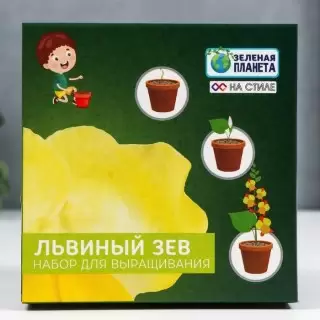Набор для выращивания «Львиный зев» в горшочке купить в Минске