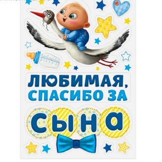Набор магнитов на авто «Любимая, спасибо за сына» 12 элементов купить в Минске +375447651009