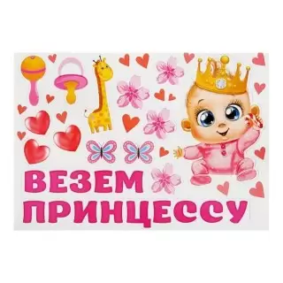 Набор магнитов на авто «Везем принцессу» 15 элементов купить в Минске +375447651009