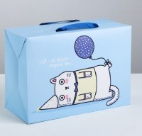 Подарочная коробка-пакет «Веселый кот» 28 × 20 × 13 см купить в Минске +375447651009