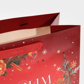 Подарочный горизонтальный пакет «Новогодний аромат» 27 × 23 × 11,5 см Минск 