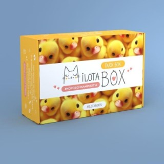 Сюрприз бокс MilotaBox «Duck» 13 предметов купить