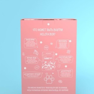 Сюрприз бокс MilotaBox «Лапка» 8 предметов фото