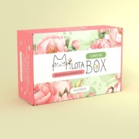 Сюрприз бокс MilotaBox «Summer» 12 предметов Минск +375447651009