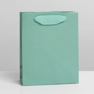 Подарочный пакет «Green» 12 × 15 × 5,5 см купить