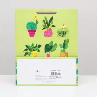 Подарочный пакет «Комнатные цветы» 26 × 32 × 12 см Минск
