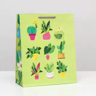 Подарочный пакет «Комнатные цветы» 26 × 32 × 12 см Минск