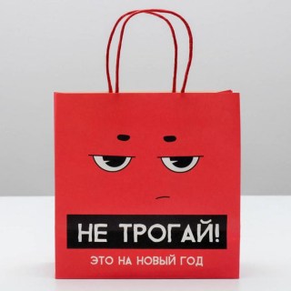 Подарочный пакет «Защиты лучше нет, чем пакет» 22 × 22 × 11  см Минск 