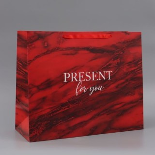 Подарочный пакет «Present for you» 49×40×19 см купить