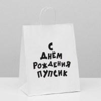Подарочный пакет «Пупсик» 24 × 32 × 10 см в Минске