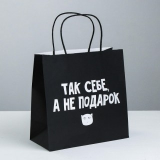 Подарочный пакет «Так себе подарок» 22 × 22 × 11 см купить в Минске +375447651009