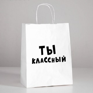 Подарочный пакет «Ты классный» 24 × 30 × 14 см в Минске +375447651009