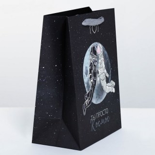 Подарочный пакет «Ты просто космос» 18 × 23 × 10 см купить в Минске +375447651009