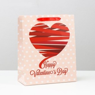 Подарочный пакет «Valentine's Day» 26 × 32 × 12 см купить в Минске +375447651009