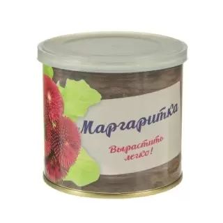 Растение в консервной банке «Маргаритка» купить в Минске +375447651009