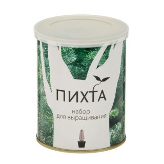 Растение в консервной банке «Пихта» купить в Минске +375447651009