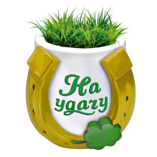 Растущая трава с вазоном «Клевер на удачу» купить