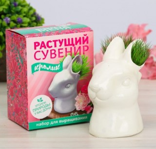 Растущая трава с вазоном «Кролик» купить в Минске +375447651009