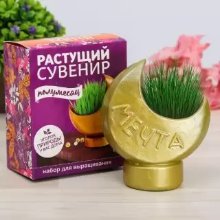 Растущая трава с вазоном «Луна» купить в Минске +375447651009