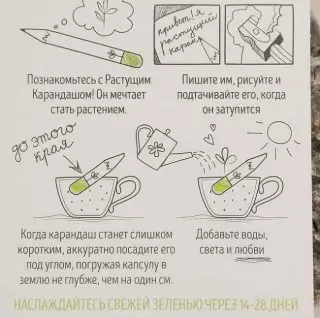 Растущие карандаши 'Салатный микс' черные 3 штуки Минск