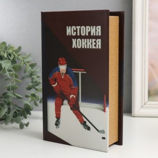Сейф-книга «Хоккей»  21 см Минск +375447651009