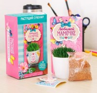 Сувенир с растущей травой «Любимой мамочке» купить в Минске +375447651009