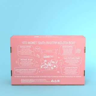 Сюрприз бокс MilotaBox «Лапка бокс» 13 предметов фото