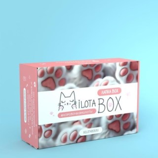 Сюрприз бокс MilotaBox «Лапка бокс» 13 предметов купить
