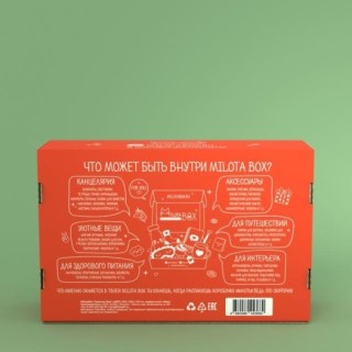 Сюрприз бокс MilotaBox «Summer» 12 предметов фото